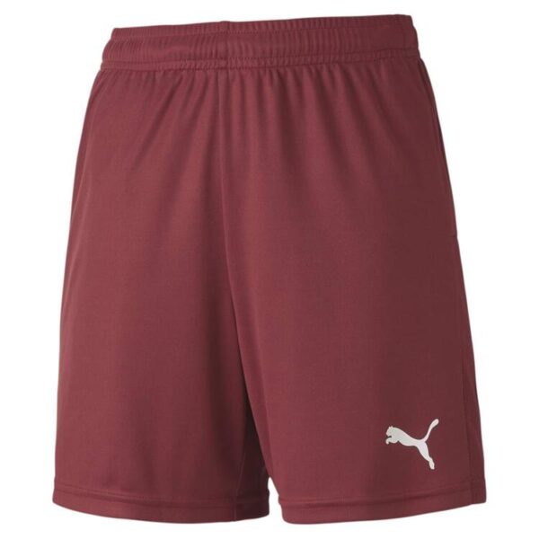 puma teamgoal 23 knit shorts jr cordovan 704263 09 gr 176