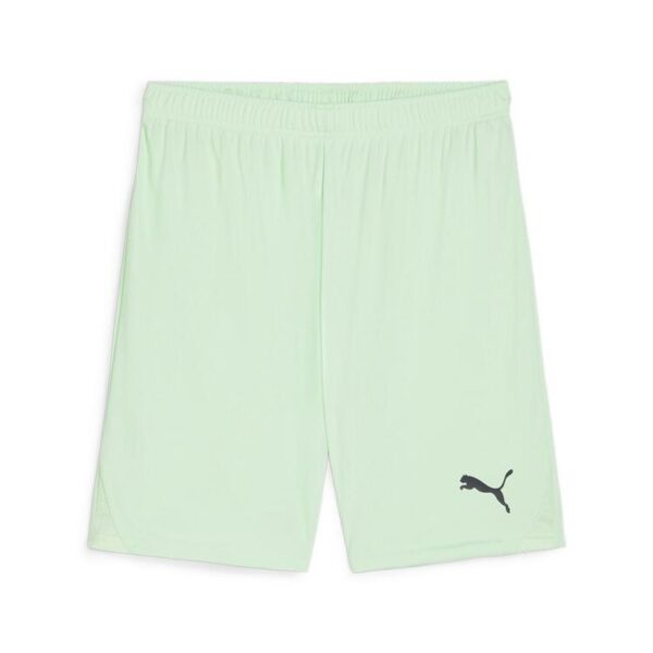 puma teamgoal shorts 705752 fresh mint puma black gr