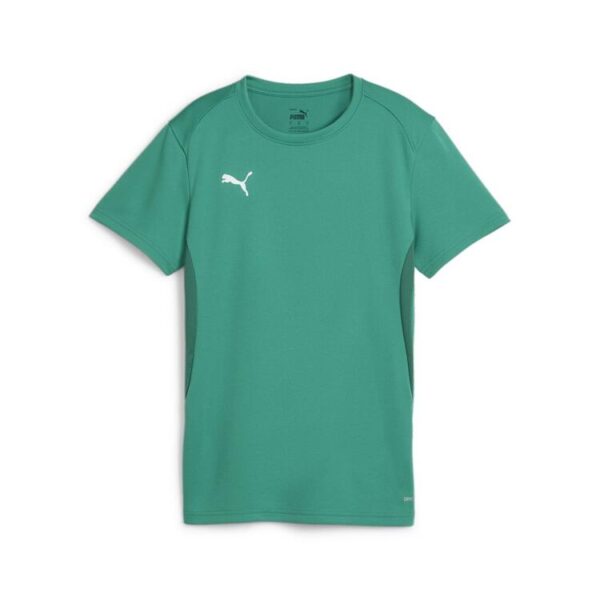 puma teamgoal jersey wmn 658638 sport green puma white gr