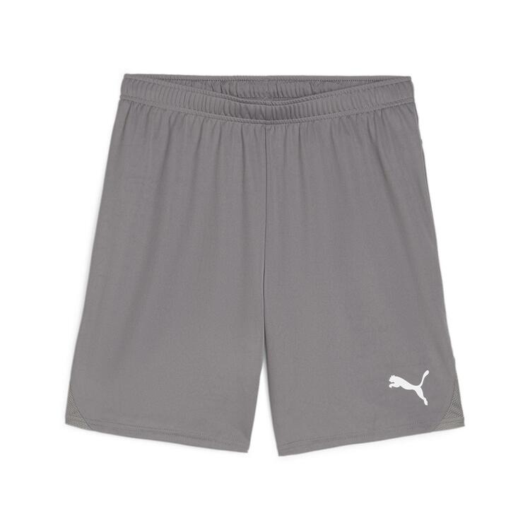 puma teamgoal shorts 705752 cast iron puma white gr