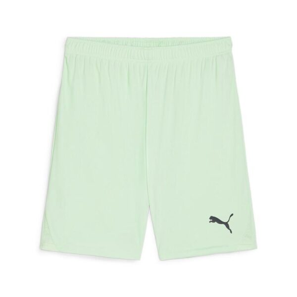 puma teamgoal shorts 705752 fresh mint puma black gr