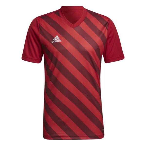 adidas Entrada 22 GFX Trikot HB0572 TEPORE/SHARED 3XL