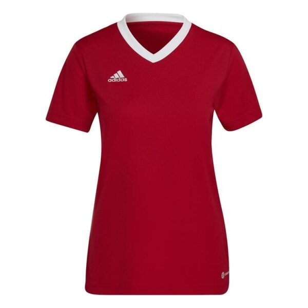 adidas Entrada 22 Trikot Damen H57571 TEPORE 2XL