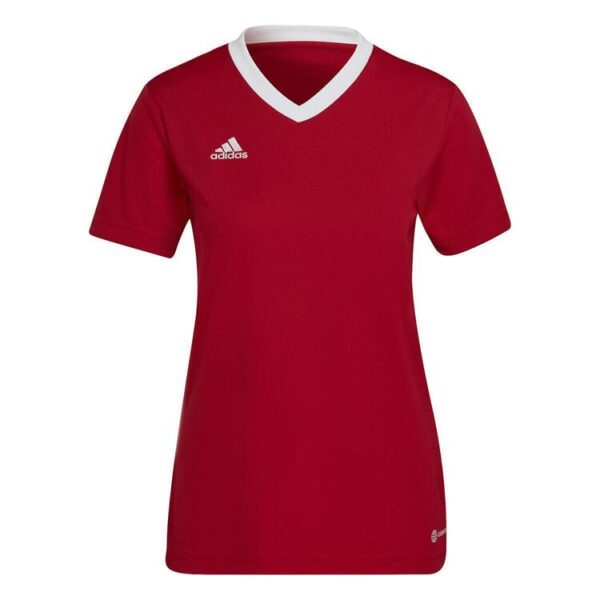 adidas Entrada 22 Trikot Damen H57571 TEPORE L