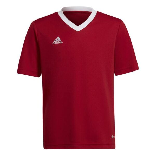 adidas Entrada 22 Trikot H57496 TEPORE 116