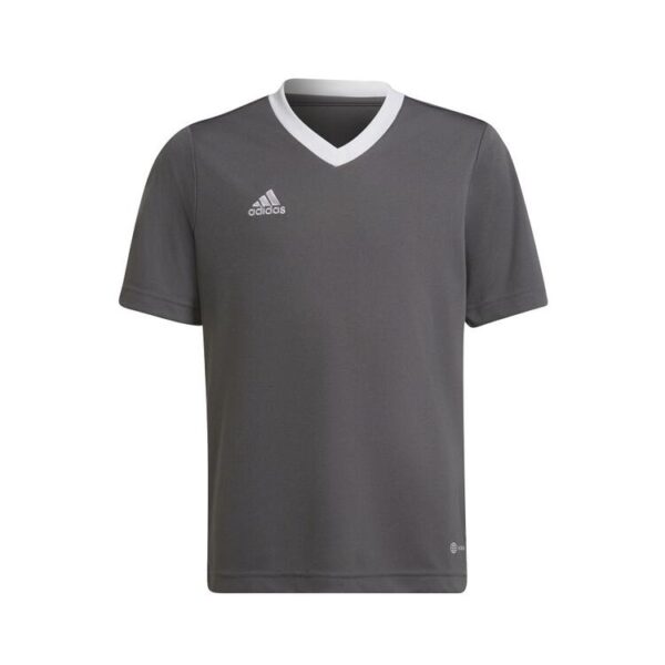 adidas Entrada 22 Trikot H57499 TEGRFO 140