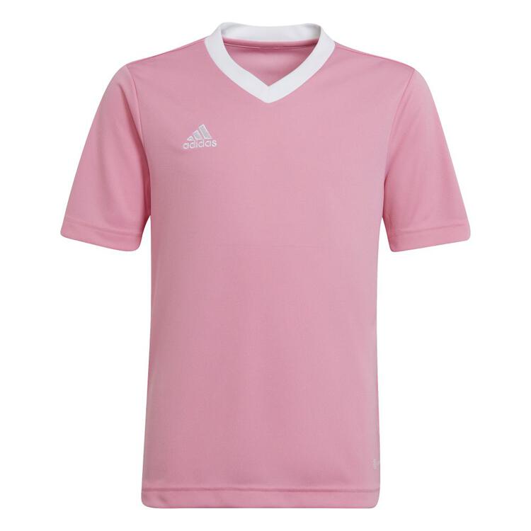 adidas entrada 22 trikot hc5055 sepigl 128