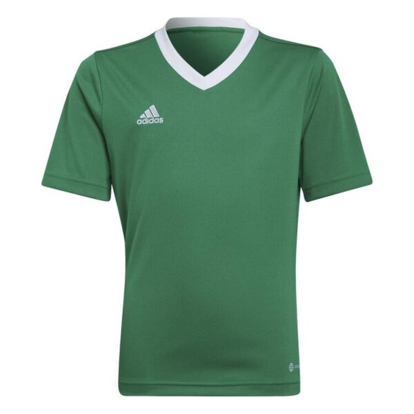 adidas Entrada 22 Trikot HI2126 TEAGRN/WHITE 116