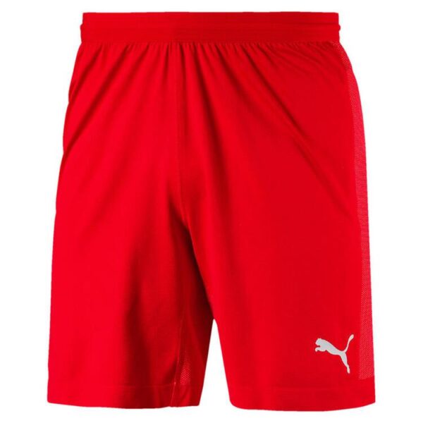 Puma FINAL evoKNIT Shorts Puma Red-White 703449 1 Gr. S