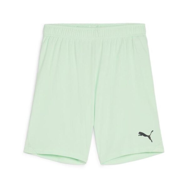 Puma teamGOAL Shorts Jr 705753 Fresh Mint-PUMA Black - Gr. 116