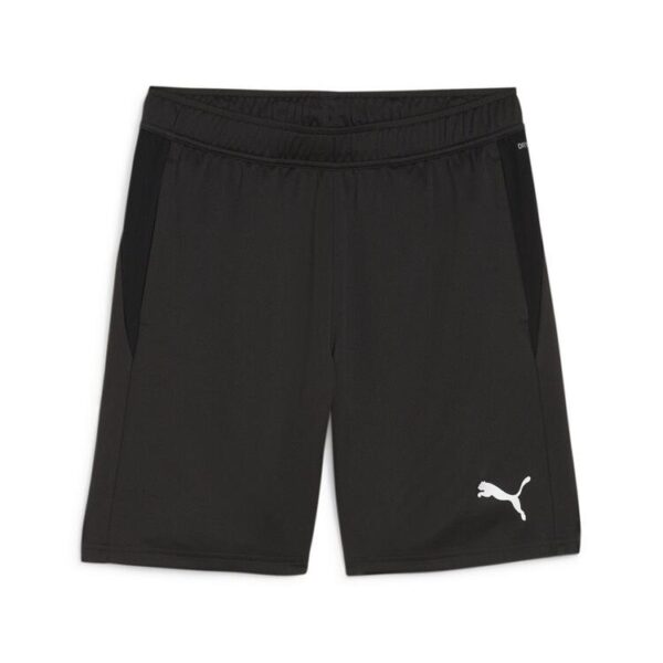 Puma teamGOAL Training Short 658643 PUMA Black-PUMA White-Flat Dark...