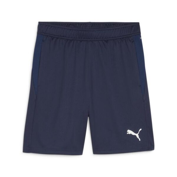 Puma teamGOAL Training Short 658643 PUMA Navy-PUMA White-Persian...