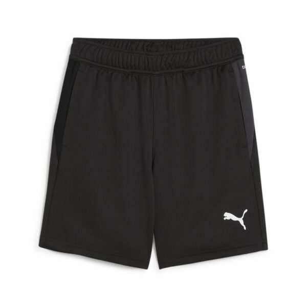 Puma teamGOAL Training Short Jr 658644 PUMA Black-PUMA White-Flat...