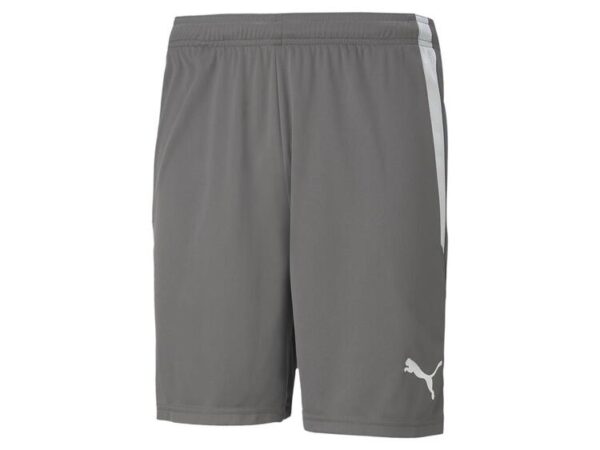 Puma teamLIGA Shorts 704924 Smoked Pearl-Puma White - Gr. XS