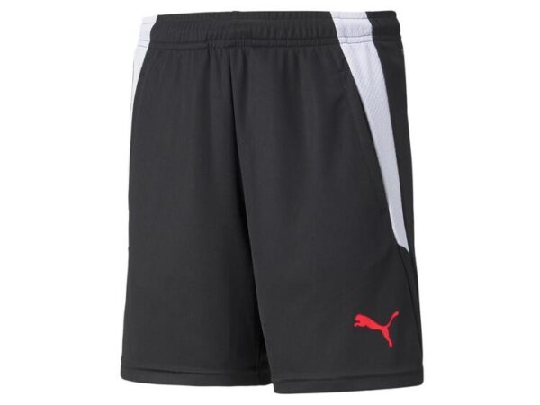 Puma teamLIGA Training Shorts2 Kinder 657668 Puma Black-Sunblaze 152