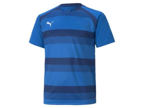 Puma teamVISION Jersey Jr 704928 Electric Blue...