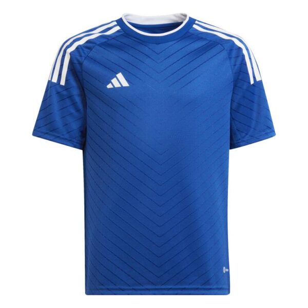 adidas Campeon 23 Trikot Kinder HR2650 ROYBLU - Gr. 140