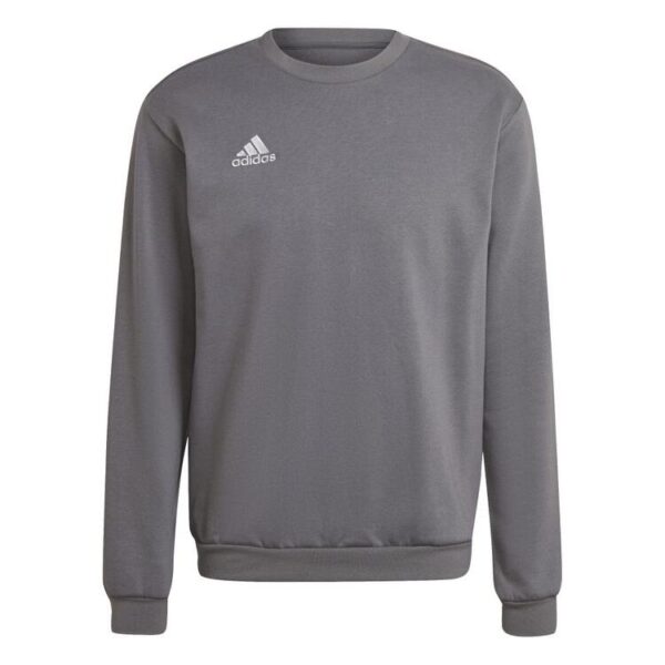 adidas Entrada 22 Sweatshirt Herren H57479 TEGRFO 2XL