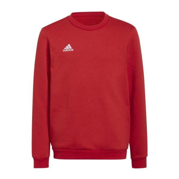 adidas Entrada 22 Sweatshirt Kinder H57473 TEPORE 116