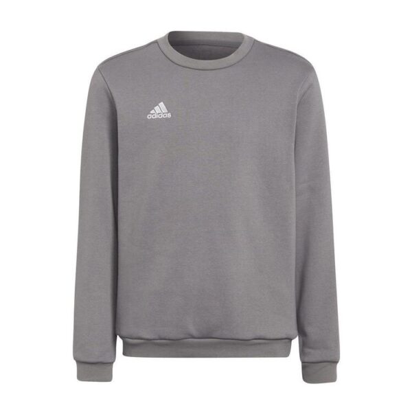 adidas Entrada 22 Sweatshirt Kinder H57477 TEGRFO 116