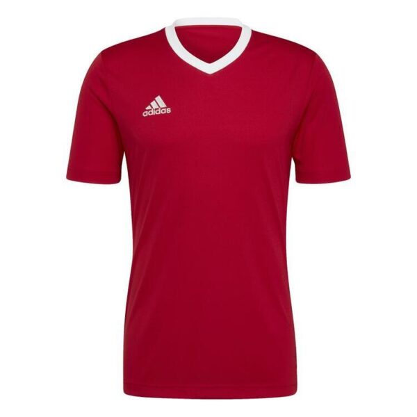 adidas Entrada 22 Trikot H57496 TEPORE 116