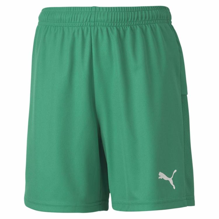 puma teamgoal 23 knit shorts jr pepper green 704263 05 gr 140