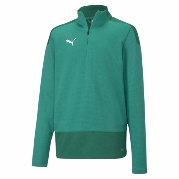 Puma teamGOAL 23 Training 1/4 Zip T Pepper Green-Power Green 656567...