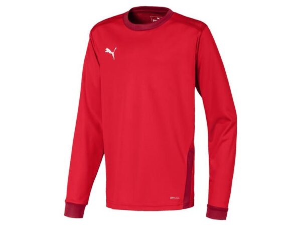 Puma teamGOAL 23 Trikot Langarm 704261 Puma Red-Chili Pepper 152