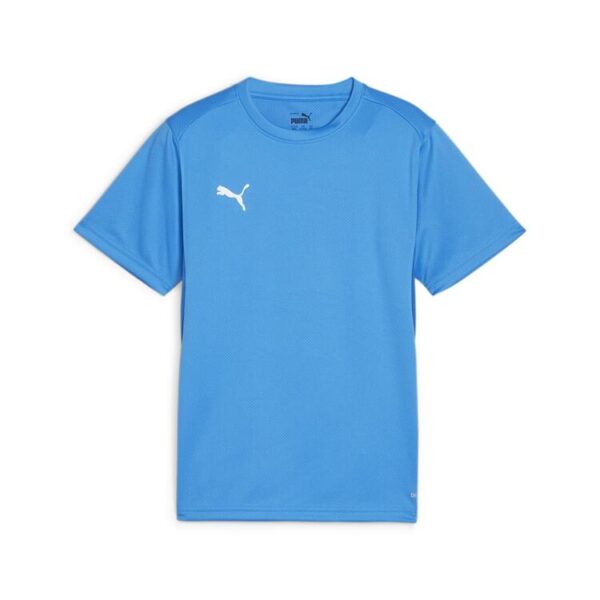 Puma teamGOAL Jersey Jr 658637 Electric Blue Lemonade-PUMA...