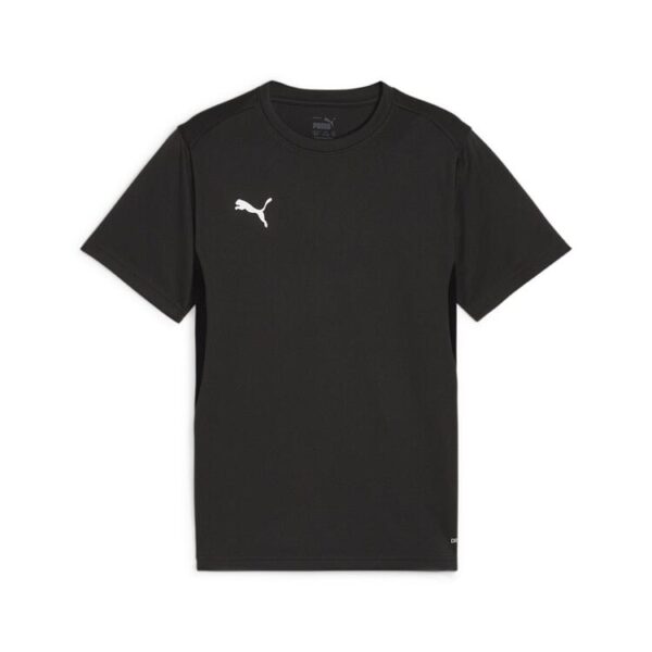 Puma teamGOAL Jersey Jr 658637 PUMA Black-PUMA White-Flat Dark Gray...