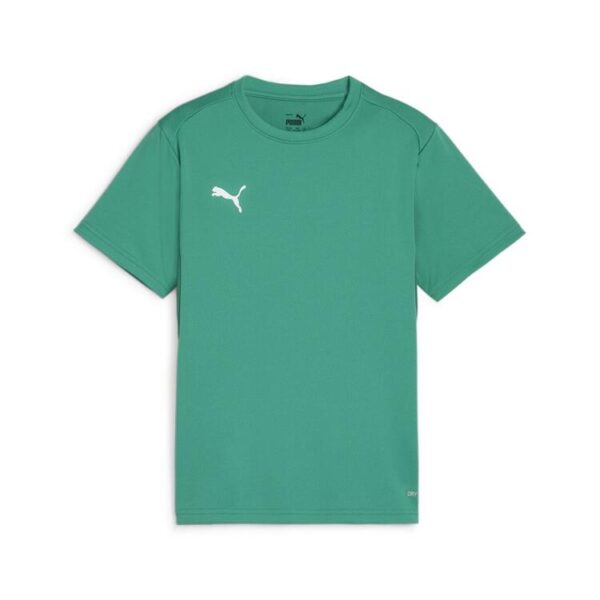 Puma teamGOAL Jersey Jr 658637 Sport Green-PUMA White-Power Green -...