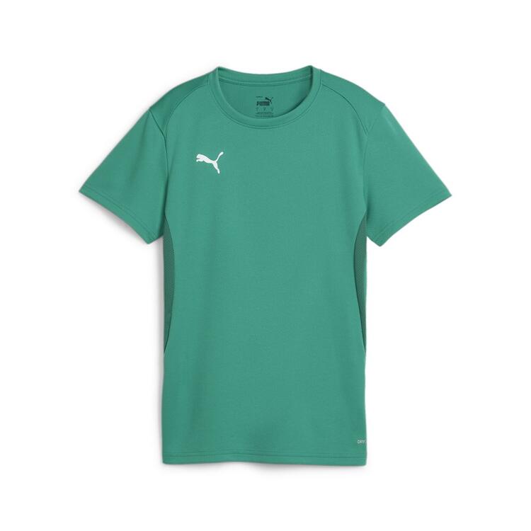 puma teamgoal jersey wmn 658638 sport green puma white gr l