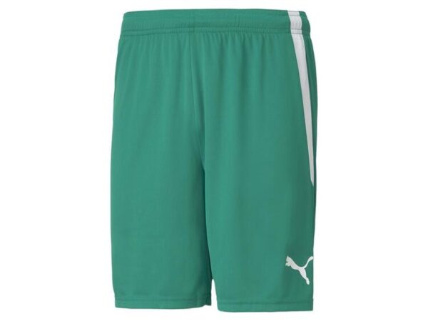 Puma teamLIGA Shorts 704924 Pepper Green-Puma White - Gr. 3XL